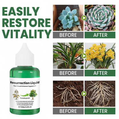 Plant Fertilizer Liquid Organic Growth