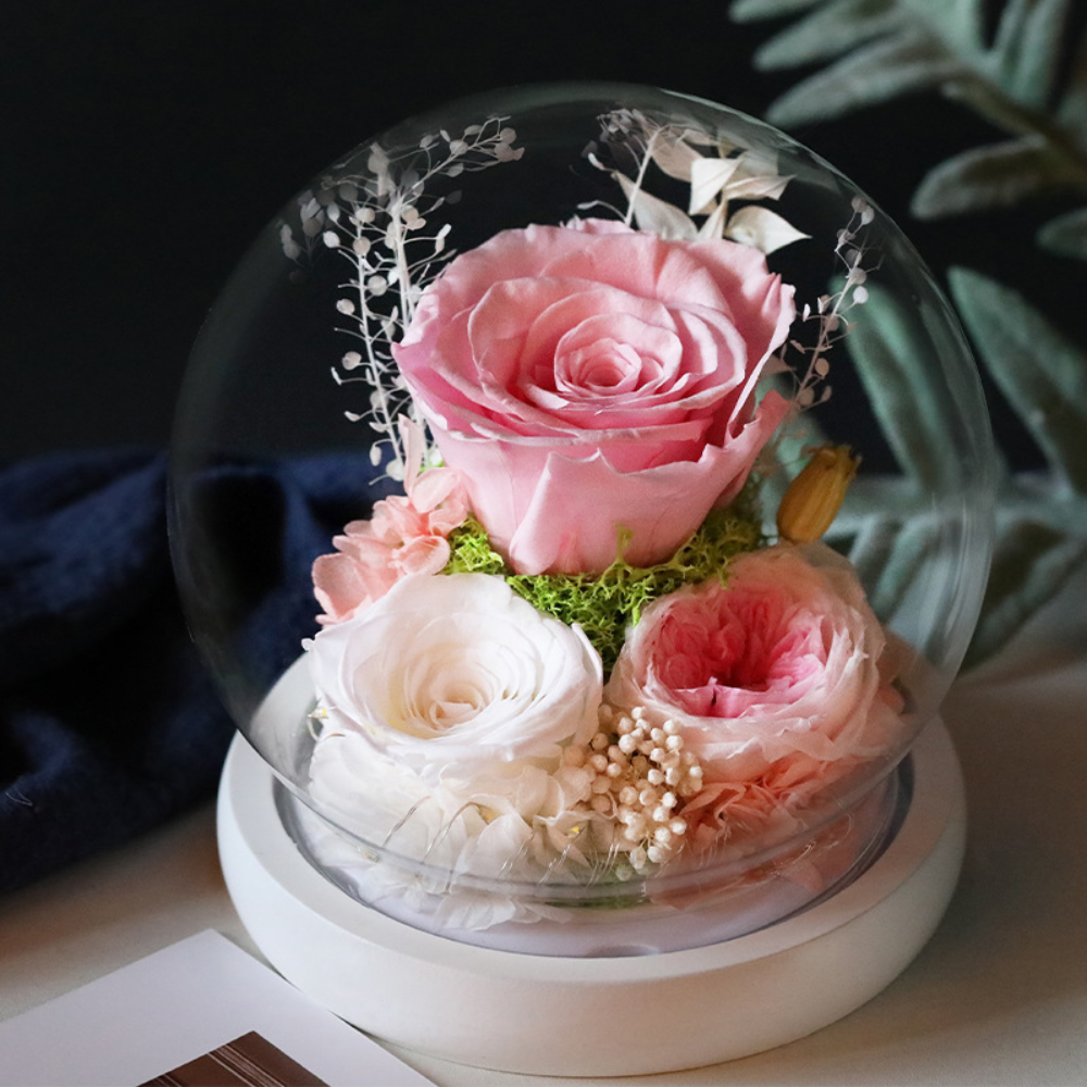 Rose Mothers Day Gift Preserved Flower Dome