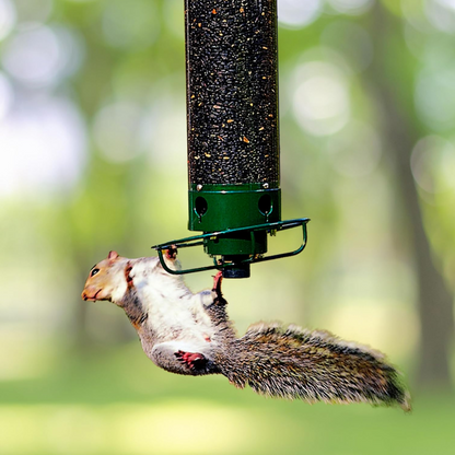 Bird Feeder Metal Squirrel Proof Hanging
