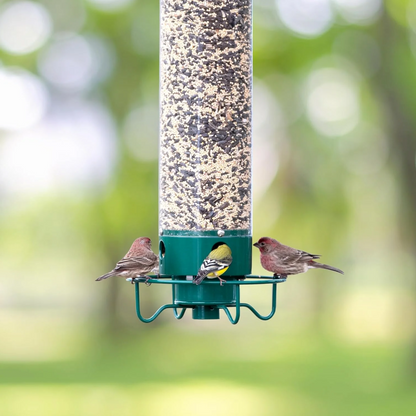 Bird Feeder Metal Squirrel Proof Hanging