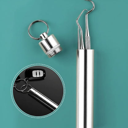 Toothpick Set Reusable Metal Toothpicks