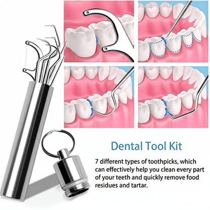 Toothpick Set Reusable Metal Toothpicks
