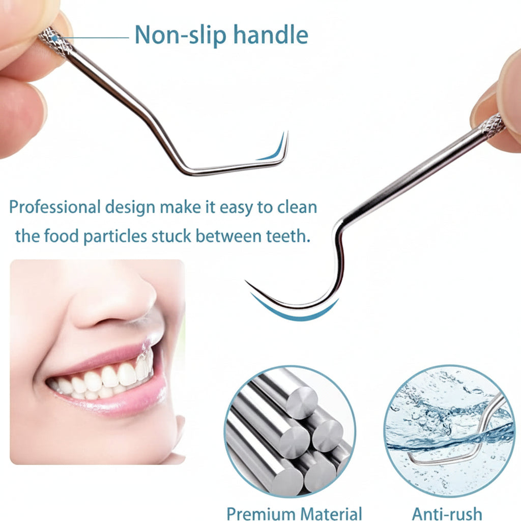 Toothpick Set Reusable Metal Toothpicks