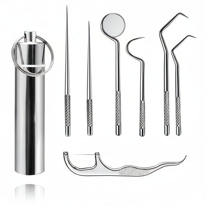 Toothpick Set Reusable Metal Toothpicks