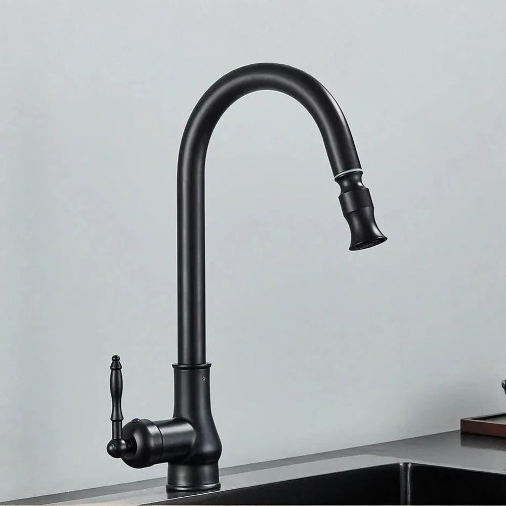 Kitchen Faucet Brass Vintage Swivel Spout