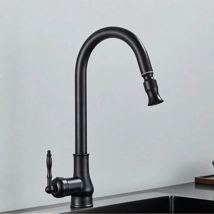 Kitchen Faucet Brass Vintage Swivel Spout