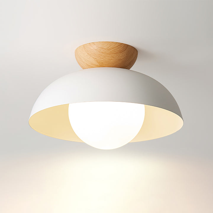 Nordic Dome Ceiling Light Modern Minimalist