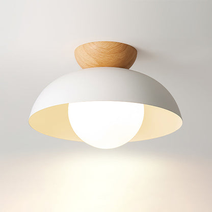 Nordic Dome Ceiling Light Modern Minimalist