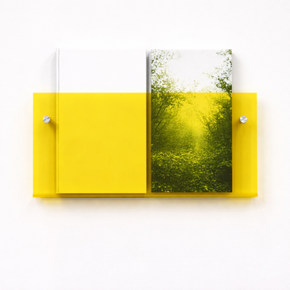 Wall Shelf Acrylic Floating Magazine Display