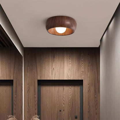 Albanora Ceiling Lamp Minimalist Modern
