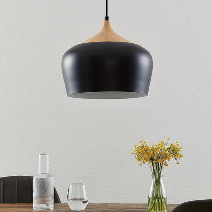 Modern Scandinavian Pendant Light Iron &