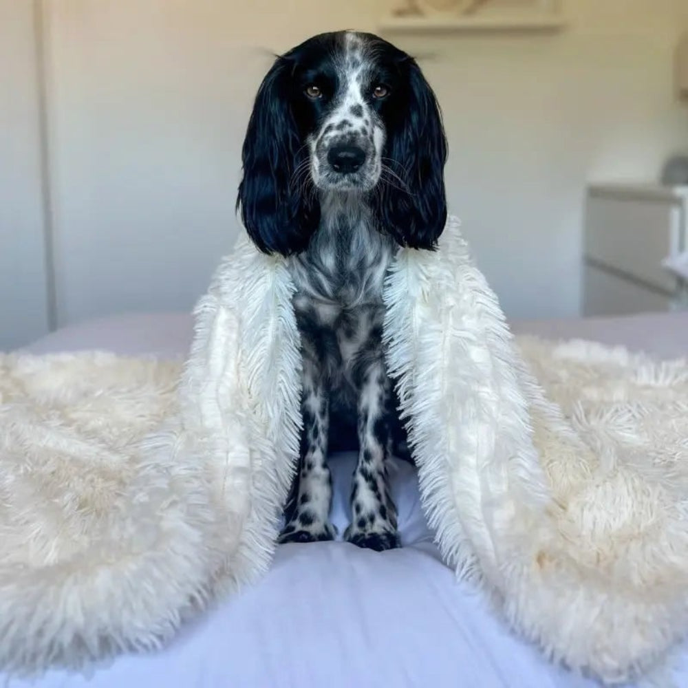 Anxiety Relieving Fluffy Soft Pet Blanket