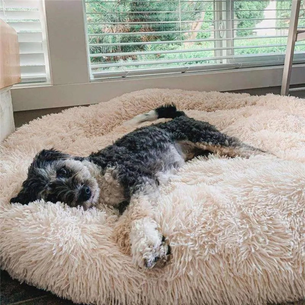 Anxiety Relieving Plush Dog Bed Calming