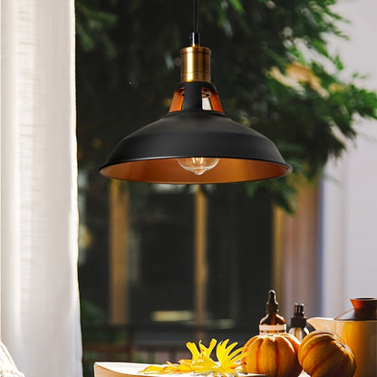 Industrial Metal Pendant Light Retro Loft