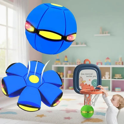 Bouncy Ball Educational Fun Pet Toy Light