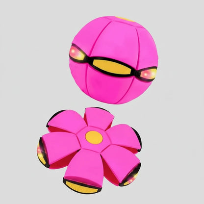 Bouncy Ball Educational Fun Pet Toy Light
