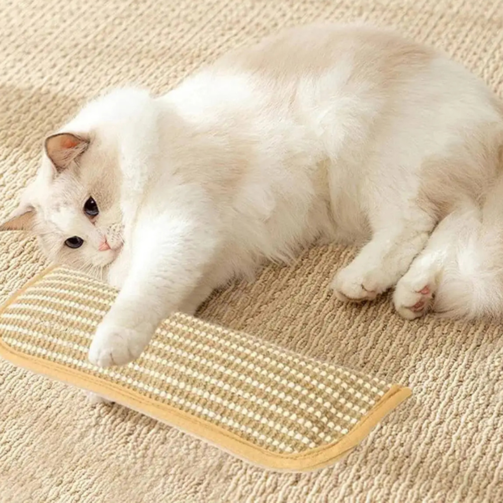Cat Scratching Pillow Durable Scratching