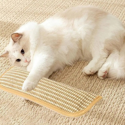 Cat Scratching Pillow Durable Scratching