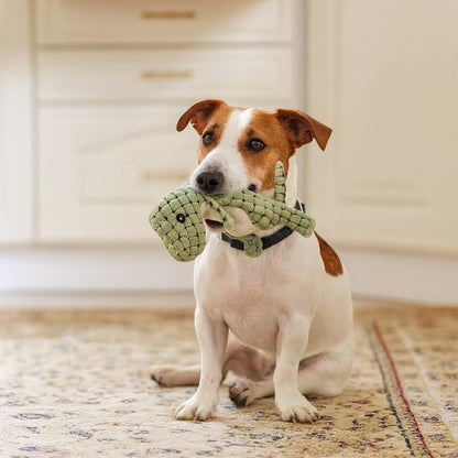 Chew Toy Interactive Dog Toy Durable