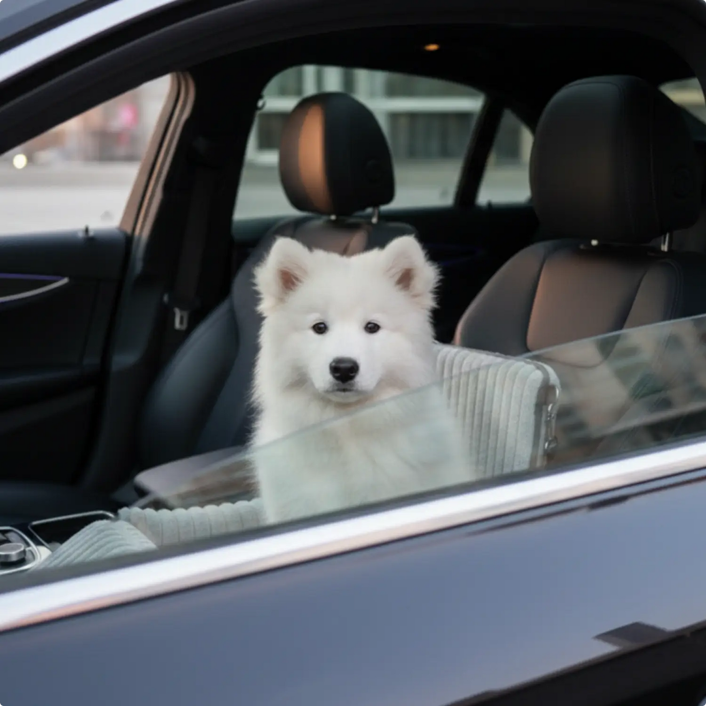 Dog Car Seat Travel Safety Booster Pet