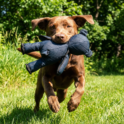 Dog Chew Toy Interactive Durable Tug Rope