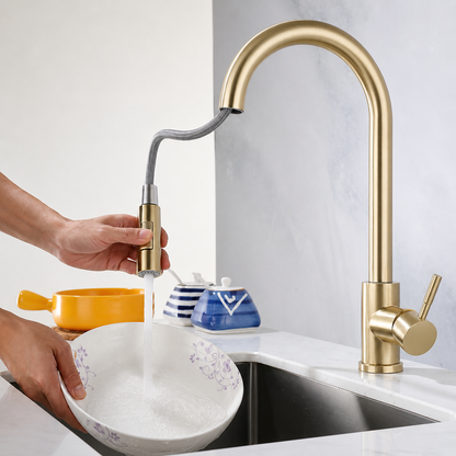 Kitchen Faucet Pull Out Spray Head Single