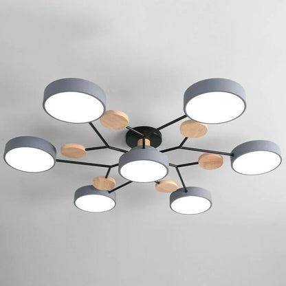 Energy Efficient Semi Flush Ceiling Light