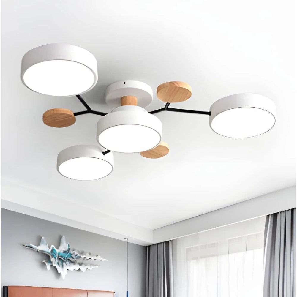 Energy Efficient Semi Flush Ceiling Light
