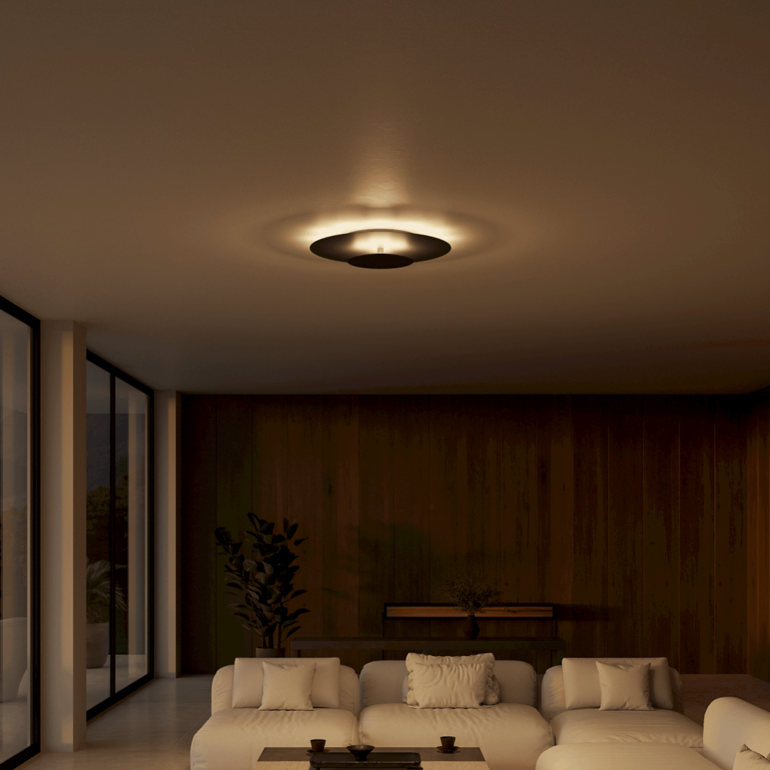 Flush Mount Ceiling Light LED Modern Round