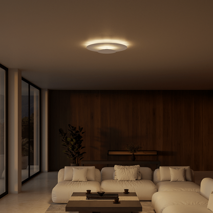 Flush Mount Ceiling Light LED Modern Round