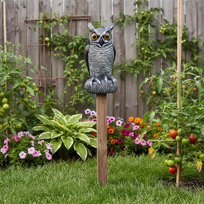 Halloween Decoration Realistic Owl Garden