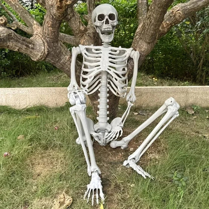 Halloween Decoration Skeleton Figure Life