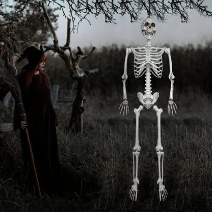Halloween Decoration Skeleton Figure Life