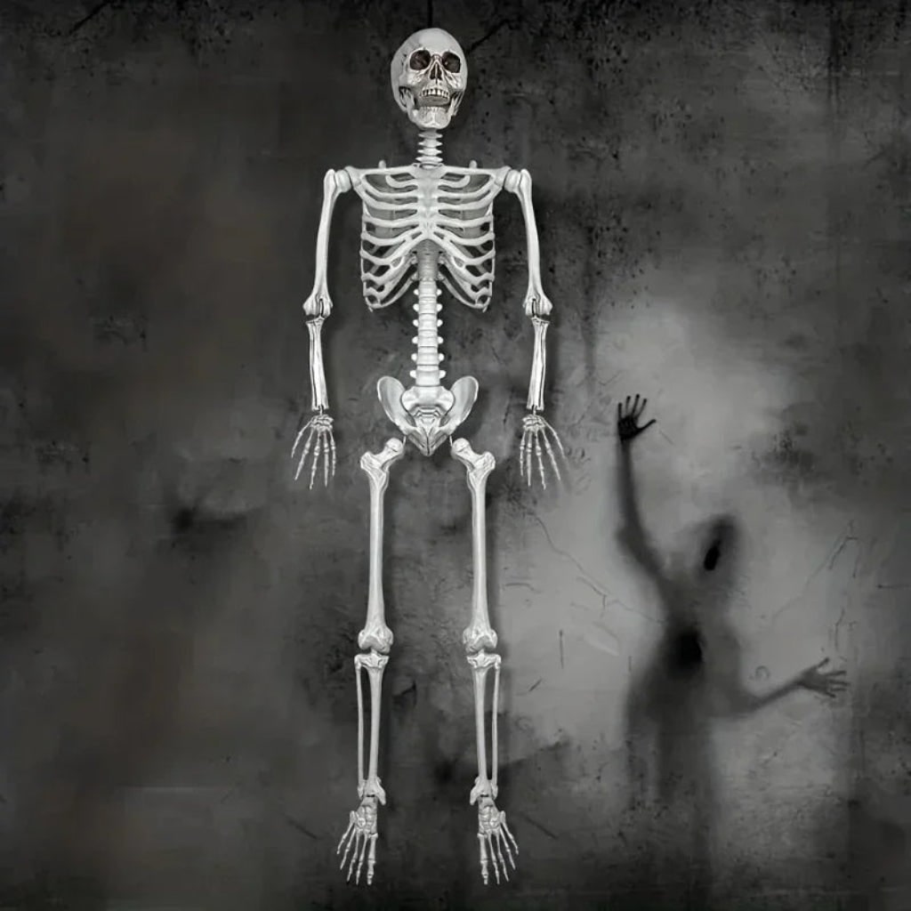 Halloween Decoration Skeleton Figure Life