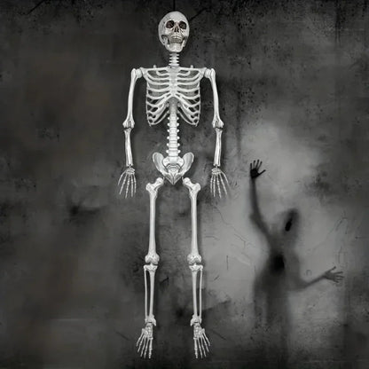 Halloween Decoration Skeleton Figure Life