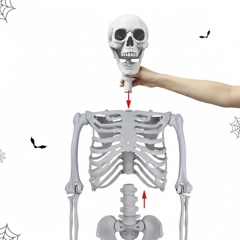Halloween Decoration Skeleton Figure Life
