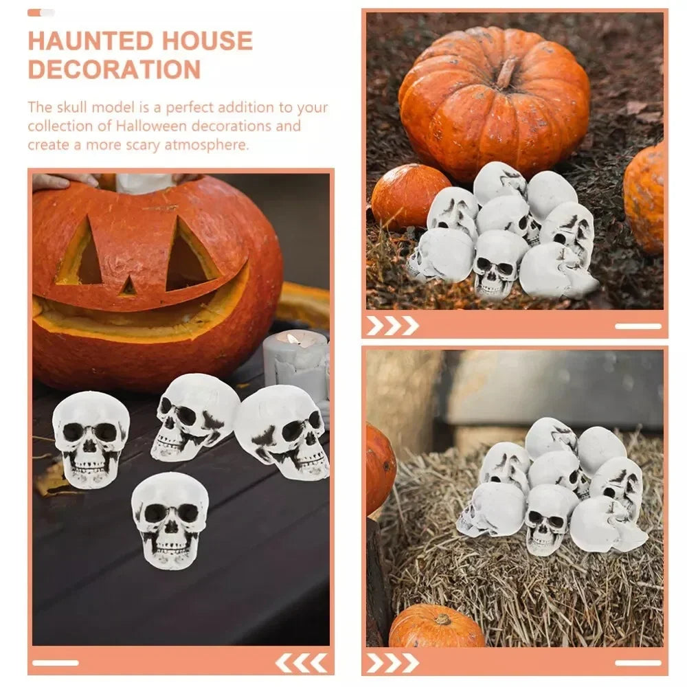 Halloween Decoration Skeleton Skulls Spooky