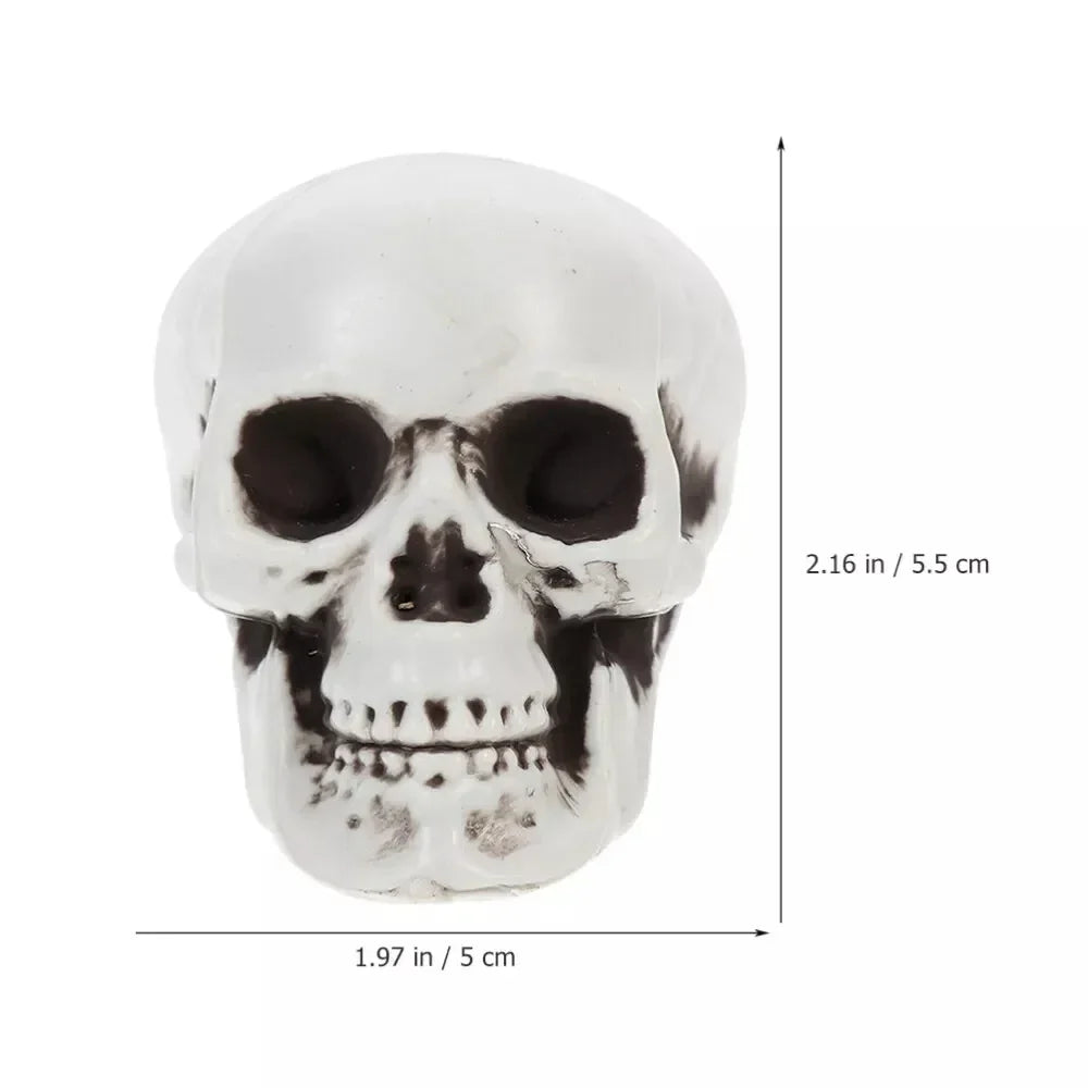 Halloween Decoration Skeleton Skulls Spooky