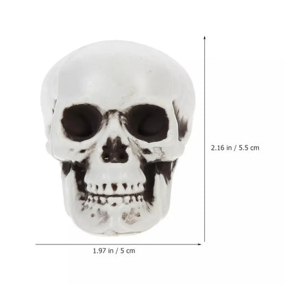 Halloween Decoration Skeleton Skulls Spooky