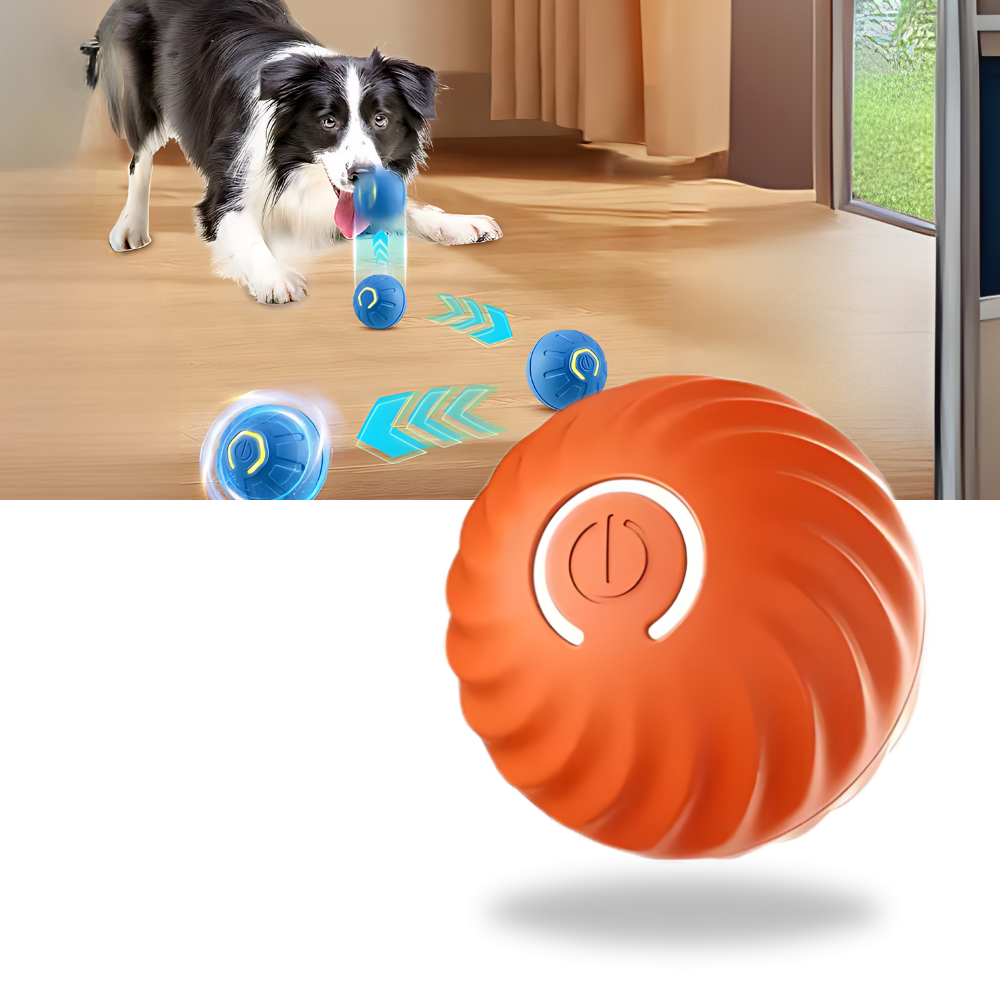 Interactive Dog Toy Durable Ball Engaging