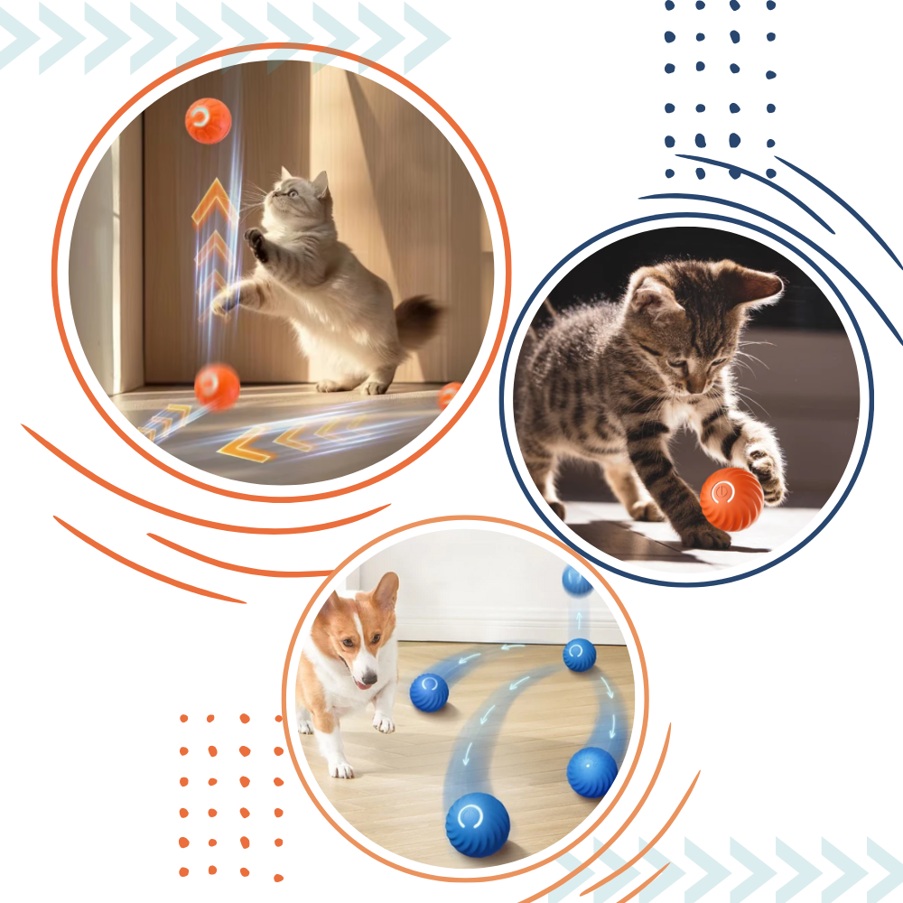 Interactive Dog Toy Durable Ball Engaging