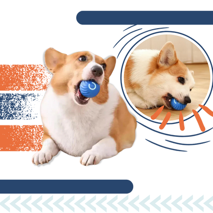 Interactive Dog Toy Durable Ball Engaging