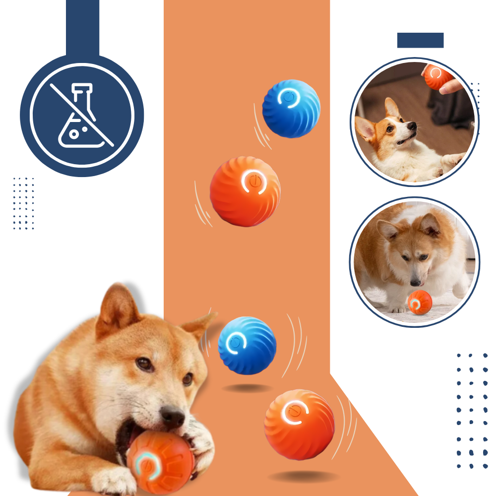 Interactive Dog Toy Durable Ball Engaging