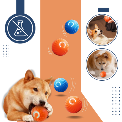 Interactive Dog Toy Durable Ball Engaging