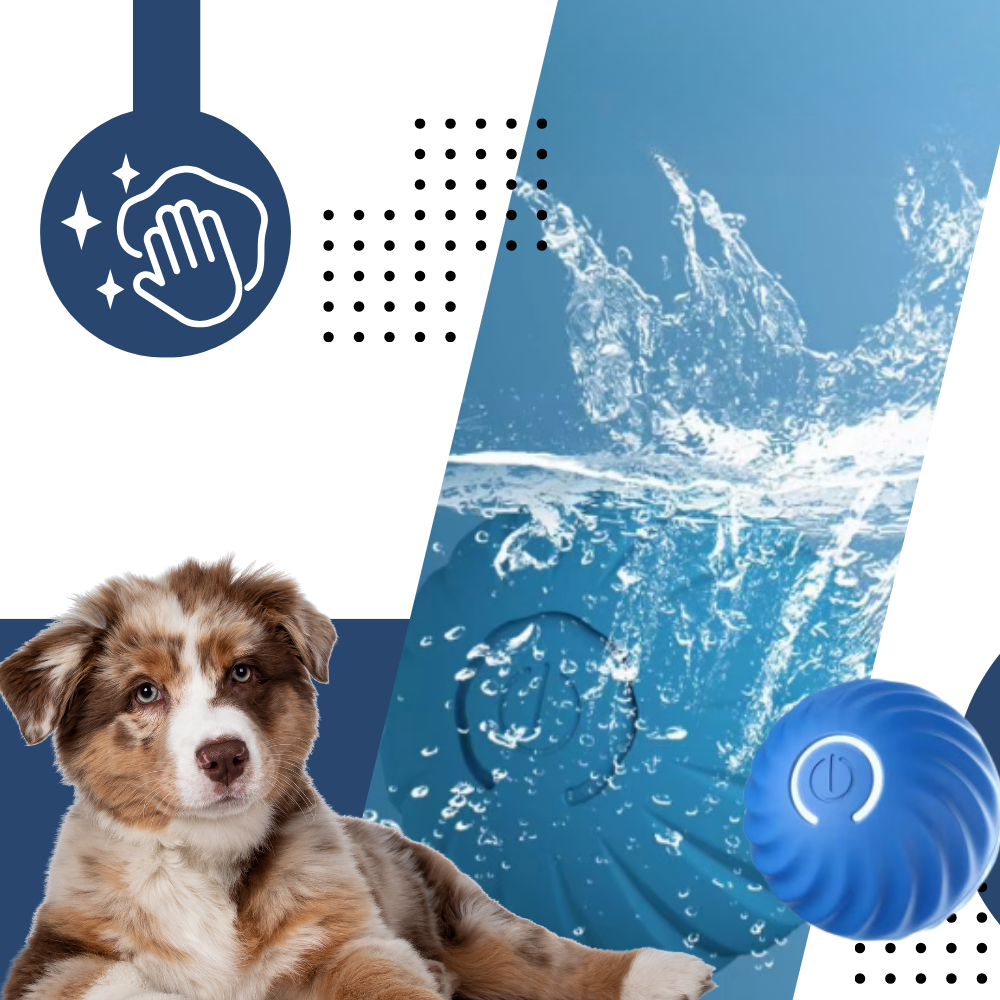 Interactive Dog Toy Durable Ball Engaging