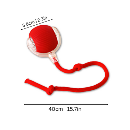 Interactive Dog Toy Durable Mental