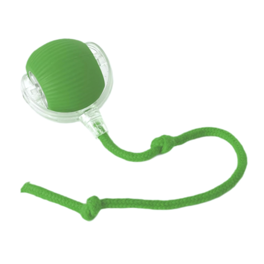 Interactive Dog Toy Durable Mental