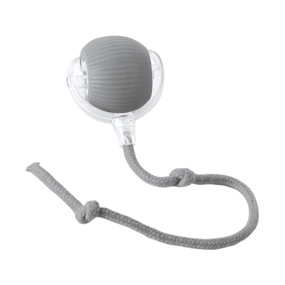 Interactive Dog Toy Durable Mental