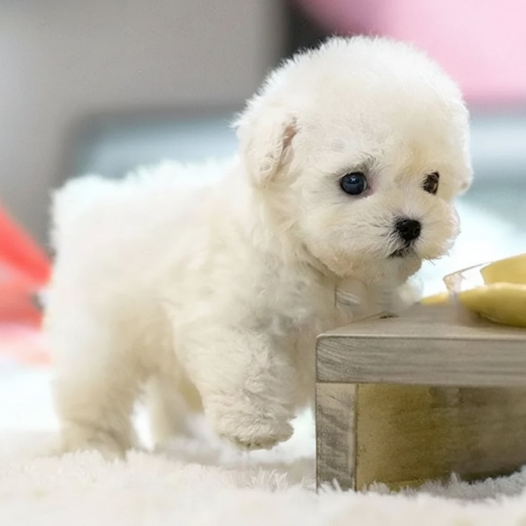 Interactive Dog Toy Robotic Puppy Lifelike