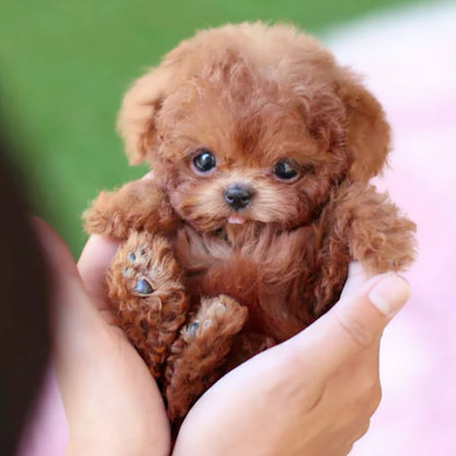 Interactive Dog Toy Robotic Puppy Lifelike